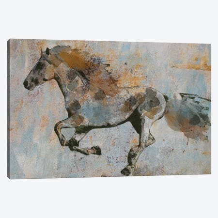 Rusty Horse I Canvas Print #ORL650} by Irena Orlov Art Print