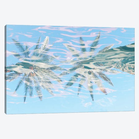 In Harmony With Nature - Palms Reflection VIII Canvas Print #ORL652} by Irena Orlov Canvas Print