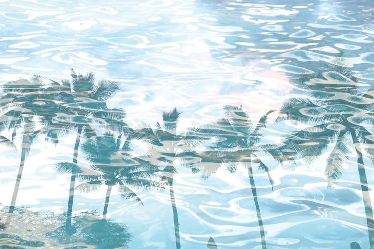 In Harmony With Nature - Palms Reflection X