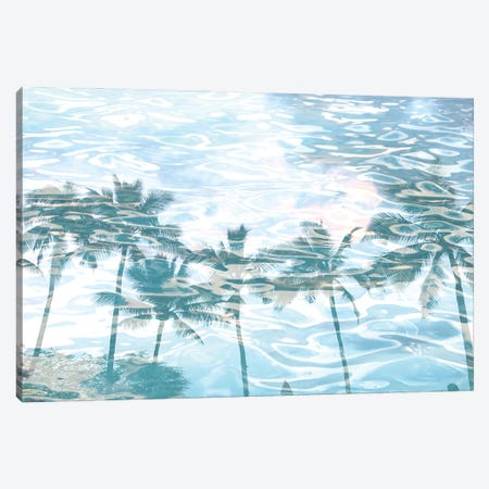 In Harmony With Nature - Palms Reflection X Canvas Print #ORL653} by Irena Orlov Canvas Art Print