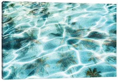 In Harmony With Nature - Palms Reflection XIII Canvas Art Print - Water Art
