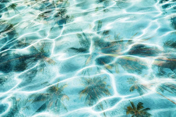 Water Close-Ups: In Harmony With Nature - Palms Reflection XIII by Irena Orlov