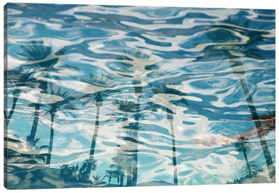 In Harmony With Nature - Palms Reflection XV Canvas Art Print - Water Art