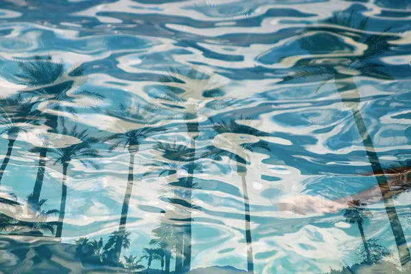 Water Close-Ups: In Harmony With Nature - Palms Reflection XV by Irena Orlov