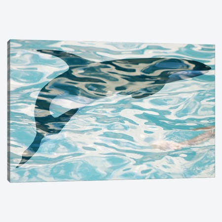 Whale In Water I Canvas Print #ORL659} by Irena Orlov Art Print
