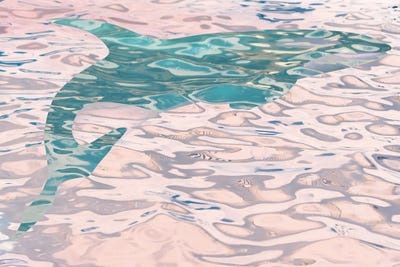 Whale In Water II by Irena Orlov framed wall art