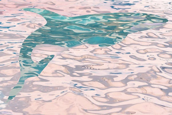 Humpback Whales: Whale In Water II by Irena Orlov