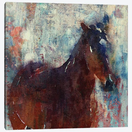 Wild Brown Horse Canvas Print #ORL66} by Irena Orlov Canvas Print
