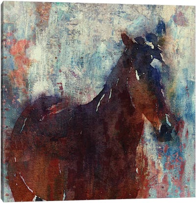 Wild Brown Horse Canvas Art Print - Rustic Décor