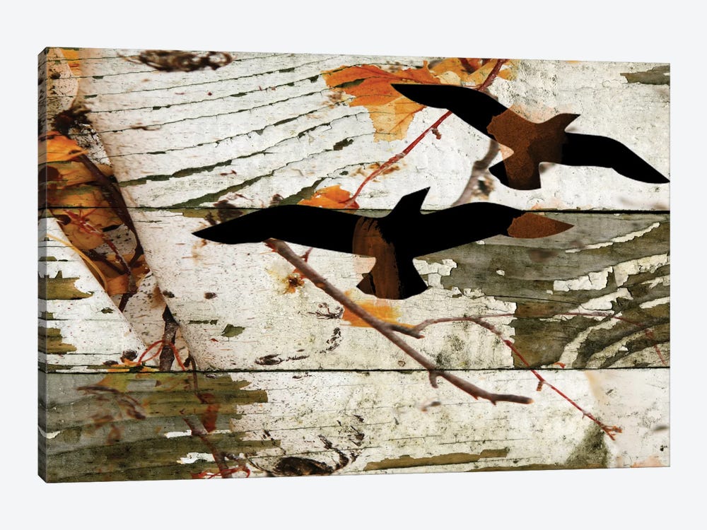 Birds On A Birch I by Irena Orlov 1-piece Canvas Print