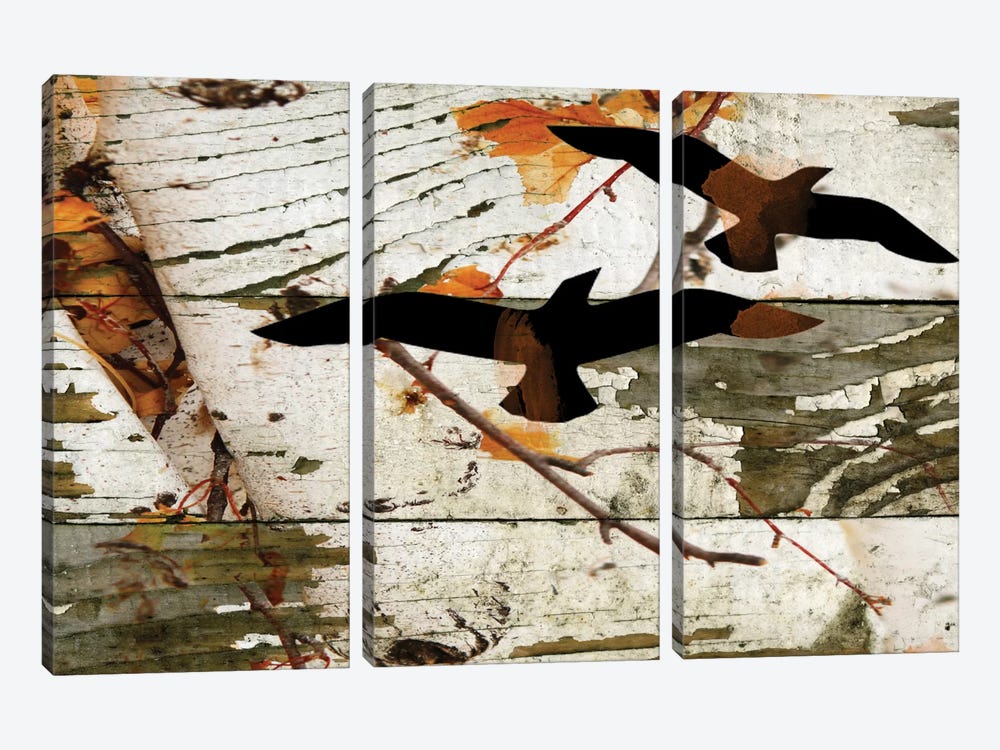 Birds On A Birch I by Irena Orlov 3-piece Art Print