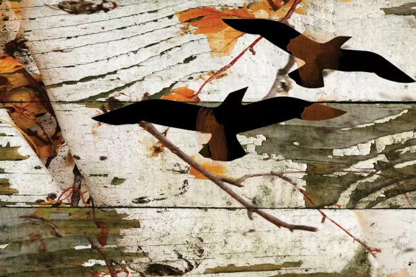 Irena Orlov: Birds On A Birch I by Irena Orlov