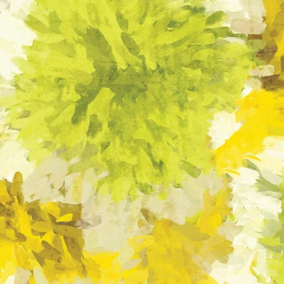 Lightness II by Irena Orlov canvas print