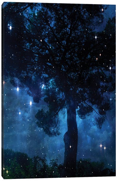 Midnight Sky II Canvas Art Print - Irena Orlov