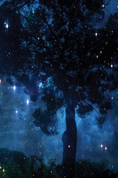 Royal Blue: Midnight Sky II by Irena Orlov