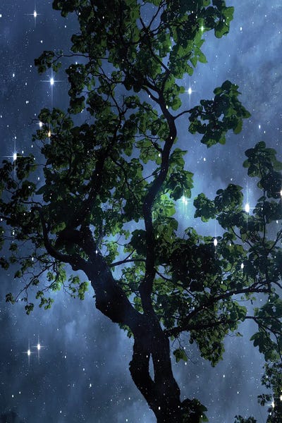 Midnight Sky III by Irena Orlov framed wall art