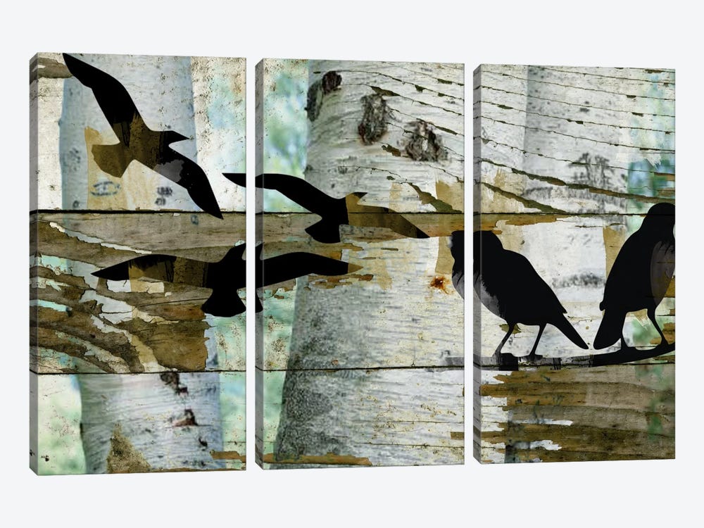 Birds On A Birch II by Irena Orlov 3-piece Canvas Art Print