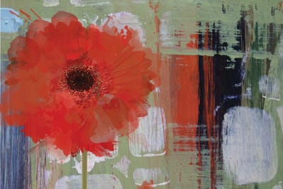 Blooming by Irena Orlov canvas print