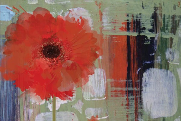 Irena Orlov: Blooming by Irena Orlov