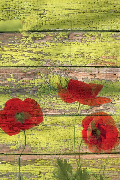 Red Dots On Green II by Irena Orlov framed wall art