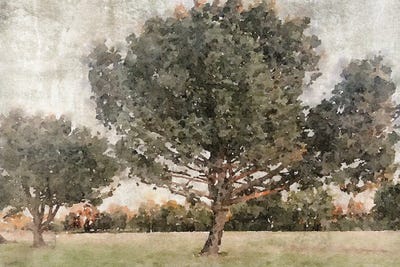 Rural Landscape In The Foggy November 2 by Irena Orlov canvas print