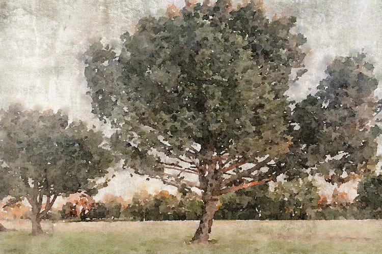 Rural Landscape In The Foggy November 2 by Irena Orlov wall art