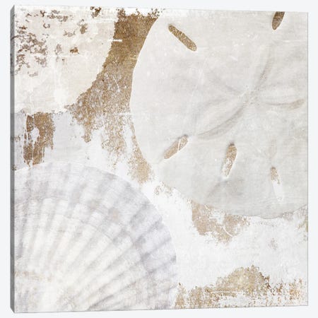 White Shells I Canvas Print #ORL755} by Irena Orlov Art Print