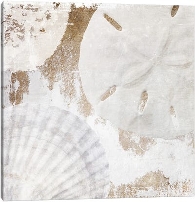 White Shells I Canvas Art Print - Sea Shell Art