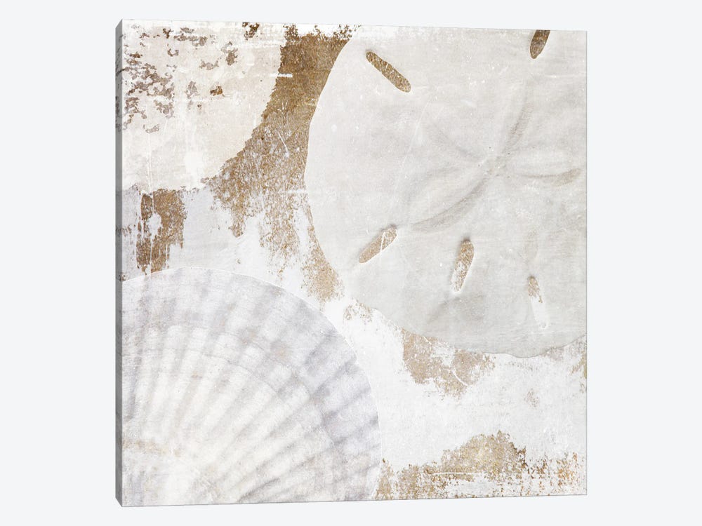 White Shells I by Irena Orlov 1-piece Canvas Art