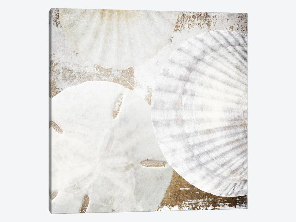 White Shells II by Irena Orlov 1-piece Canvas Art Print