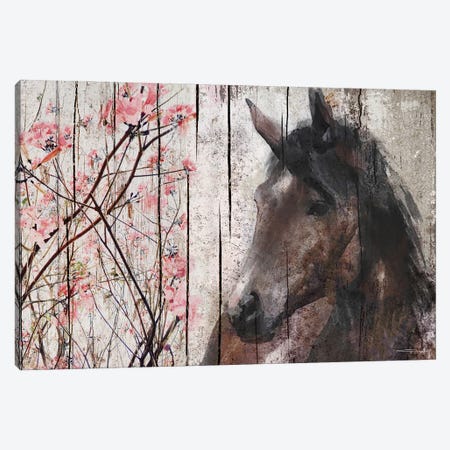 Brown And White Horse Canvas Print #ORL758} by Irena Orlov Canvas Artwork