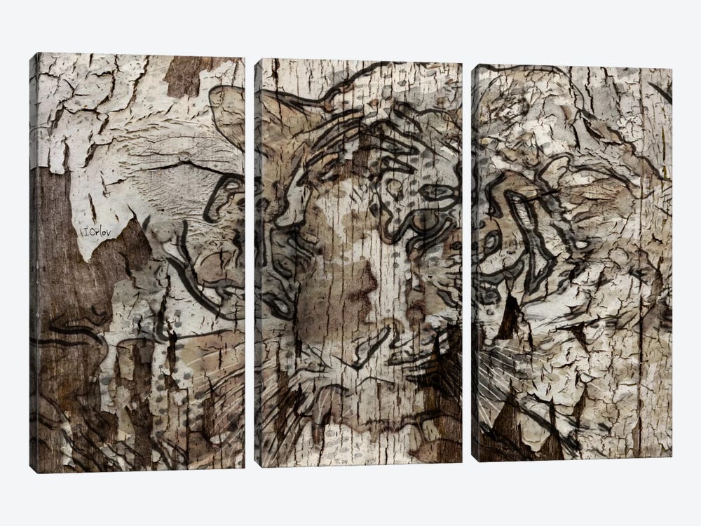 Brown Tiger by Irena Orlov 3-piece Canvas Artwork