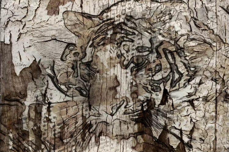 Brown Tiger by Irena Orlov wall art