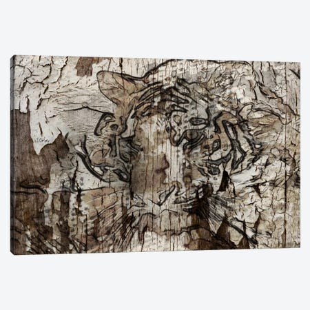 Brown Tiger Canvas Print #ORL75} by Irena Orlov Canvas Art