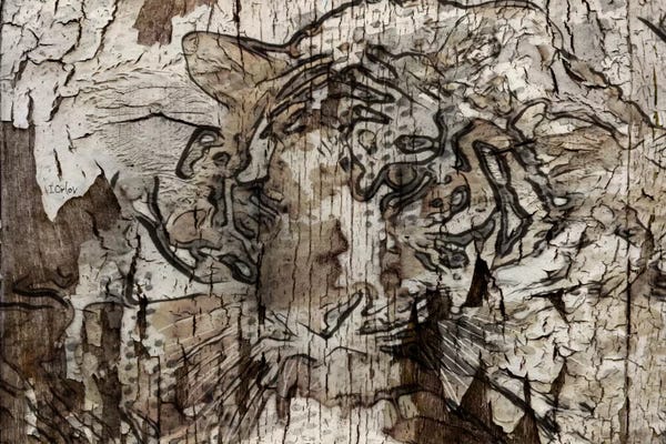 Tigers: Brown Tiger by Irena Orlov