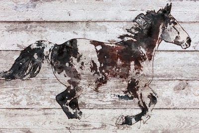 Full Length Horse by Irena Orlov framed wall art