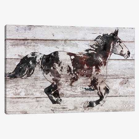 Full Length Horse Canvas Print #ORL765} by Irena Orlov Canvas Wall Art