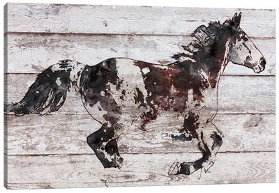 Full Length Horse Canvas Art Print - Irena Orlov