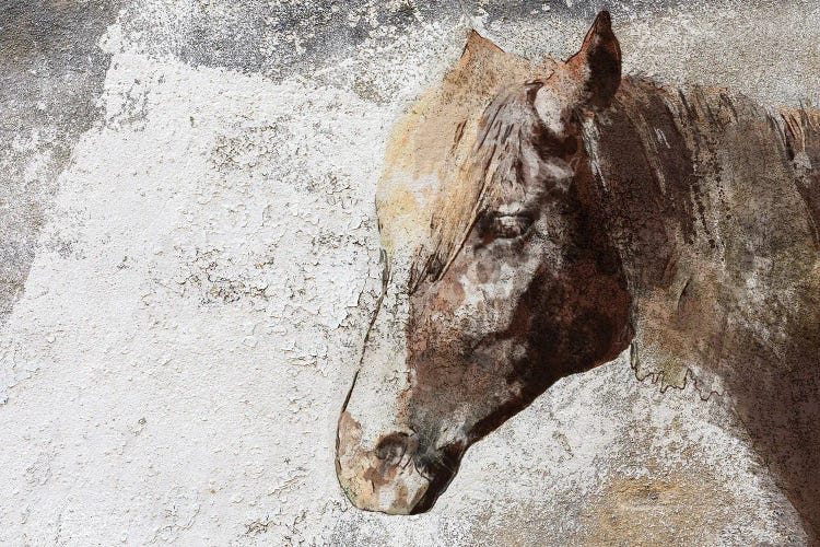 Gorgeous Rustic Brown Horse