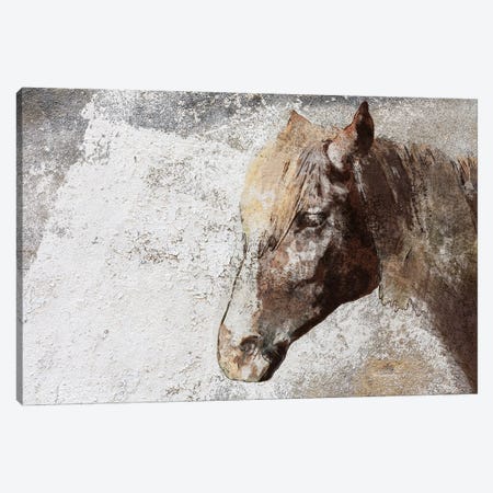 Gorgeous Rustic Brown Horse Canvas Print #ORL776} by Irena Orlov Canvas Print