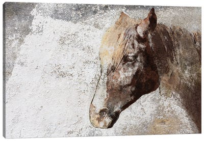 Gorgeous Rustic Brown Horse Canvas Art Print - Irena Orlov