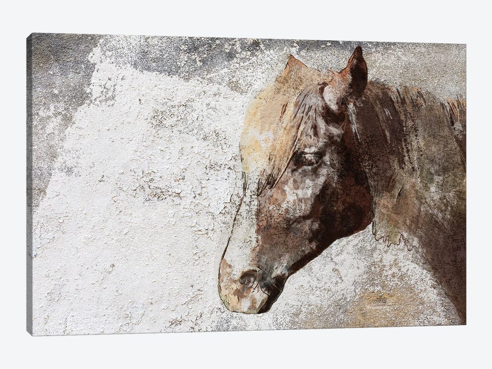 Gorgeous Rustic Brown Horse by Irena Orlov 1-piece Canvas Print