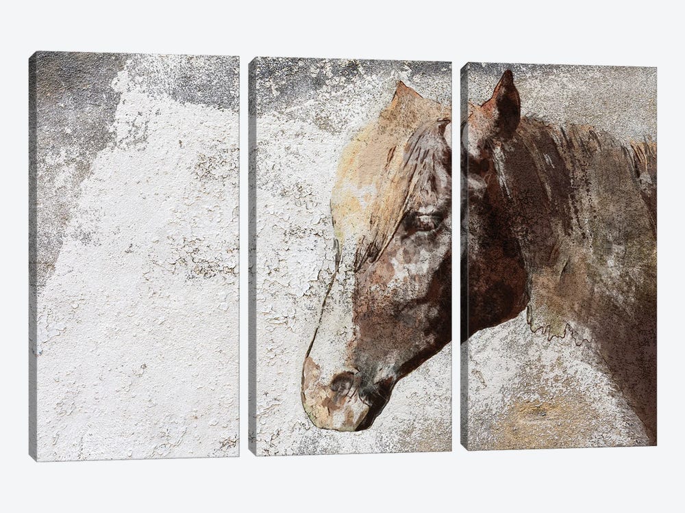 Gorgeous Rustic Brown Horse by Irena Orlov 3-piece Canvas Art Print