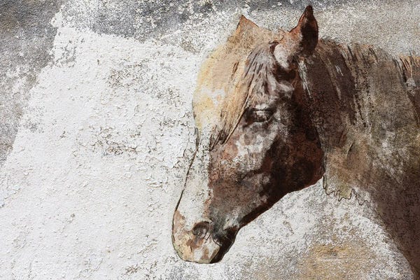 Western Décor: Gorgeous Rustic Brown Horse by Irena Orlov