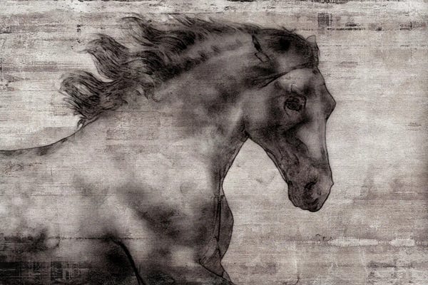 Irena Orlov: Grigio I by Irena Orlov