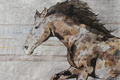Wild Running Horse X by Irena Orlov canvas print