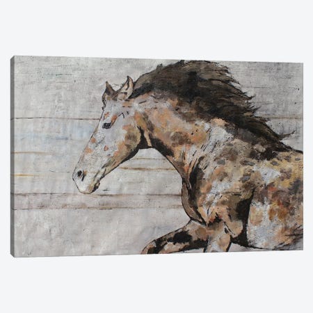 Wild Running Horse X Canvas Print #ORL783} by Irena Orlov Art Print