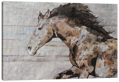 Wild Running Horse X Canvas Art Print - Irena Orlov
