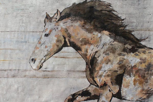 Western Décor: Wild Running Horse X by Irena Orlov