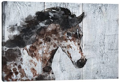 Wild Running Horse VII Canvas Art Print - Western Décor